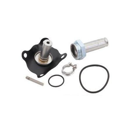 K-1177: 210CA 1B1B Repair Kit, Plunger and Spring Assembly