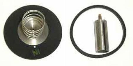 K-1155: 210CA-5/8-B Repair Kit, Plunger and Spring Assembly