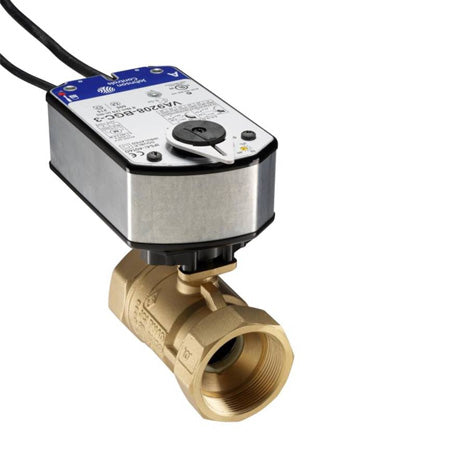 VG1241FS+928GGA: 2" 2-Way Ball Valve, Brass Trim, Spring Return, No Switch