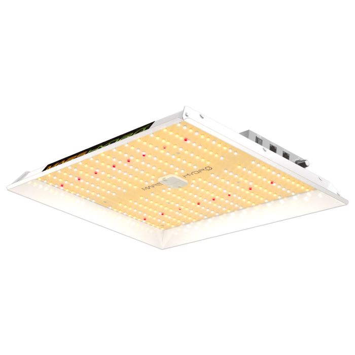 Basys Led TS1000: 1000 ohm Platinum RTD - wall mount
