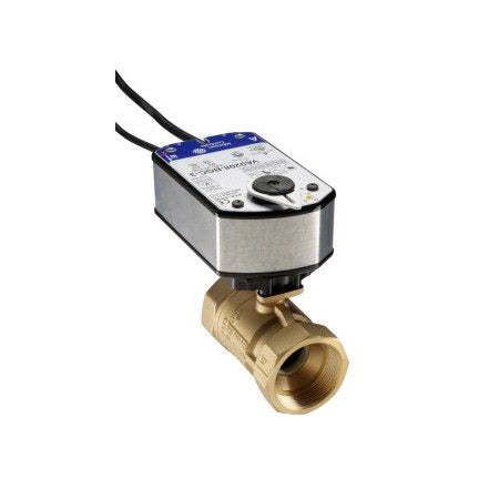 VG1245FR+928GGA: 2" 2-Way Ball Valve, Spring Return, SS Trim, No Switch